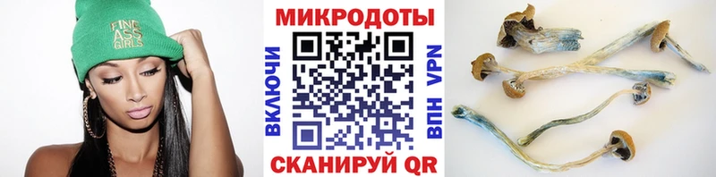 Псилоцибиновые грибы прущие грибы  Нижневартовск 